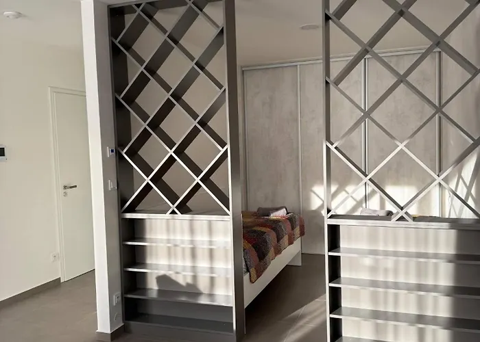 Apartman Lion Parkk